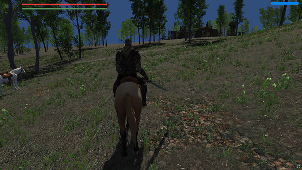 Скриншот из the Knight