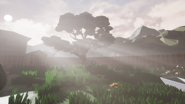 After Youfor windows and Linux 1