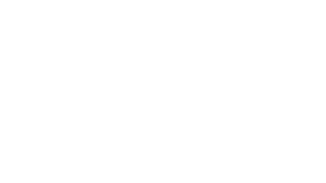 Project F Logo