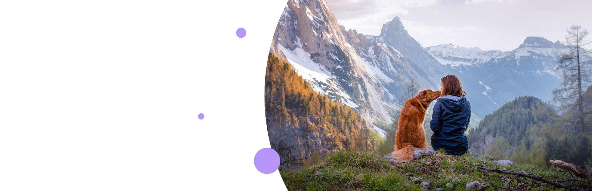 Movavi Slideshow Maker 8