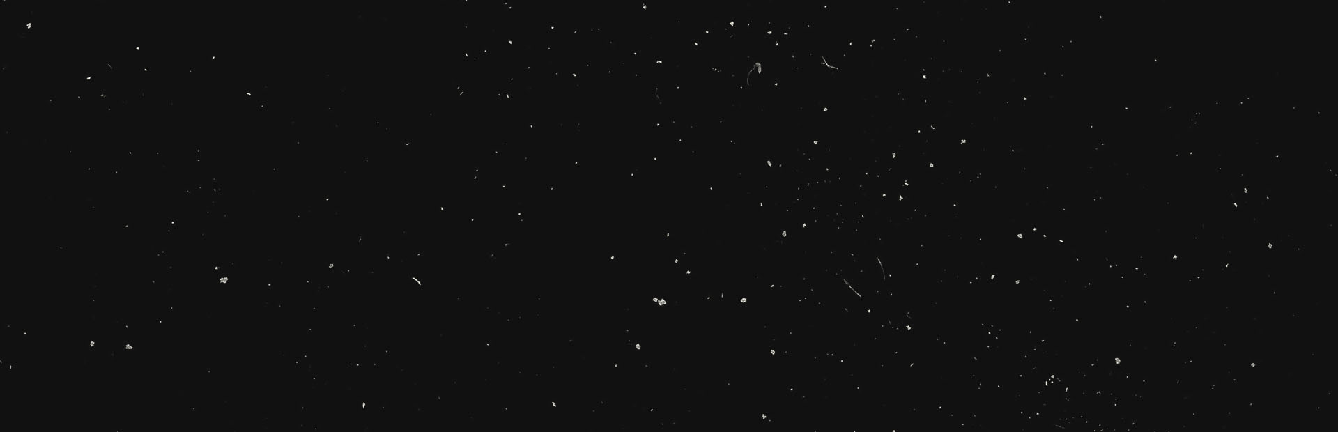 Secrets of a Campfire