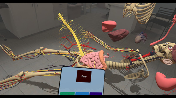 Скриншот из Human Constructor VR