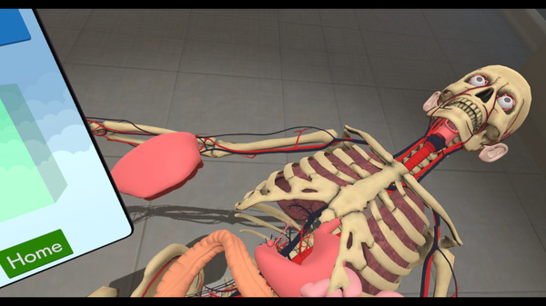 Скриншот из Human Constructor VR