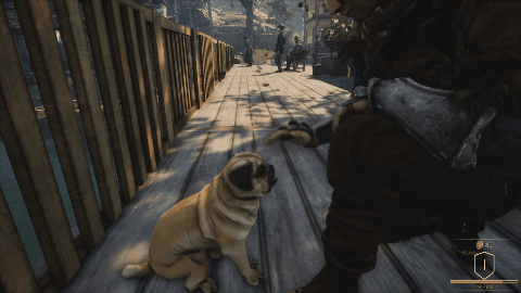Animal Rescuer
