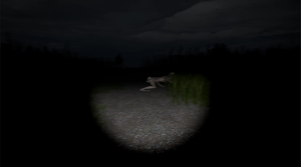 Скриншот из Disquiet Fields