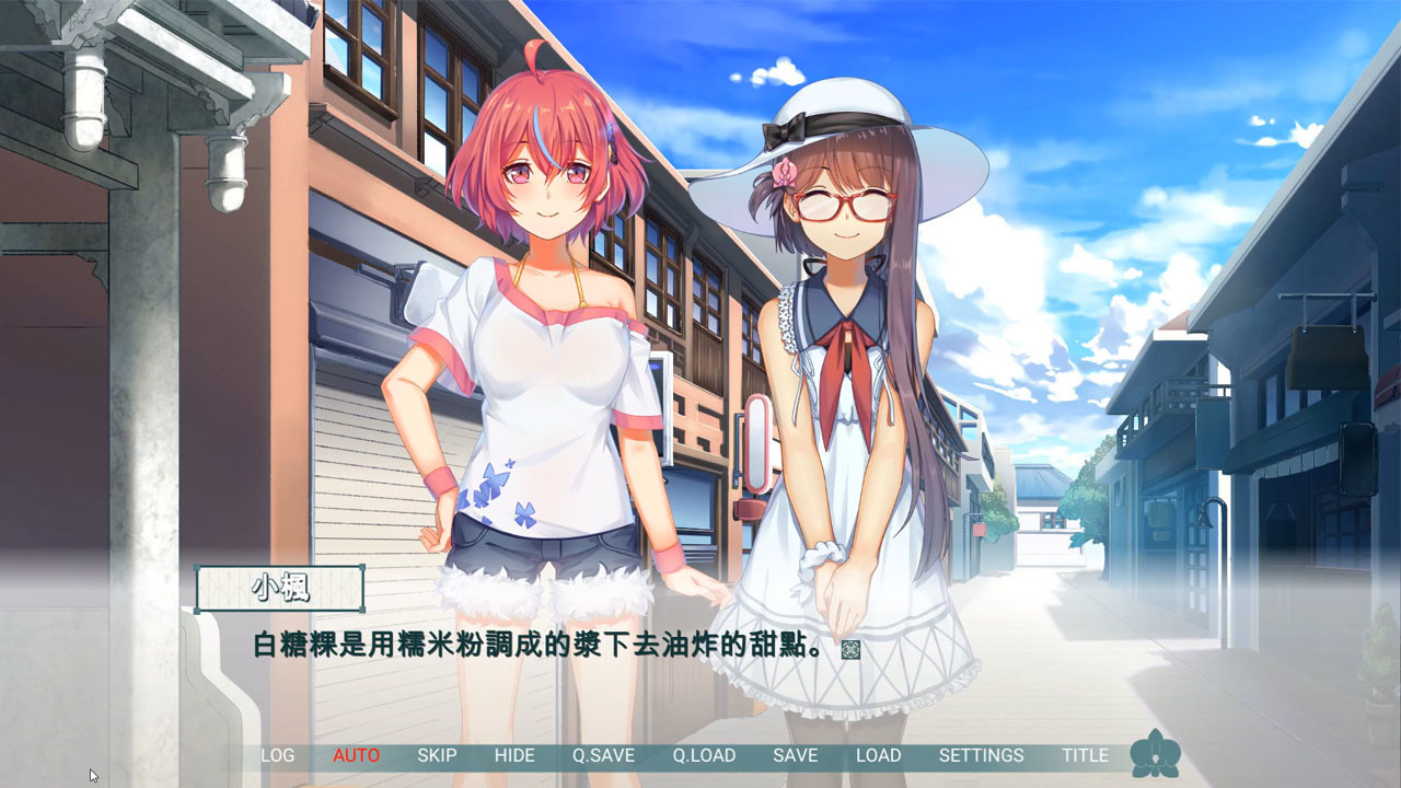 ~府城少女~ 以妳為名的府城情書