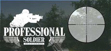 Professional Soldier cover art