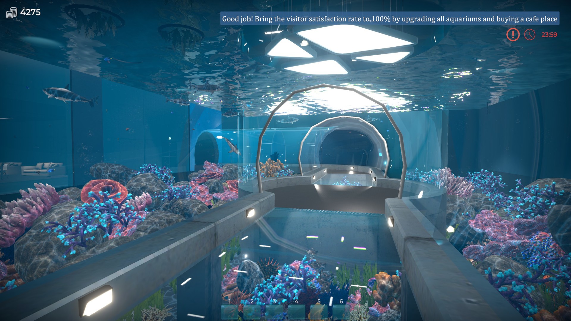 水族馆-建造水族馆,养鱼,发展你的事业/Aquarist(Build.8333920)