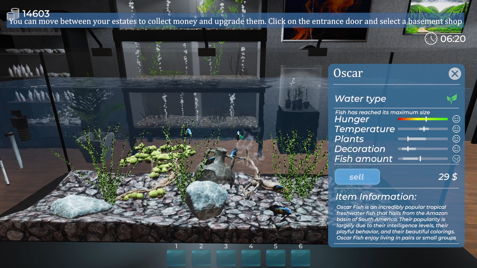 水族馆-建造水族馆,养鱼,发展你的事业/Aquarist(Build.8333920)