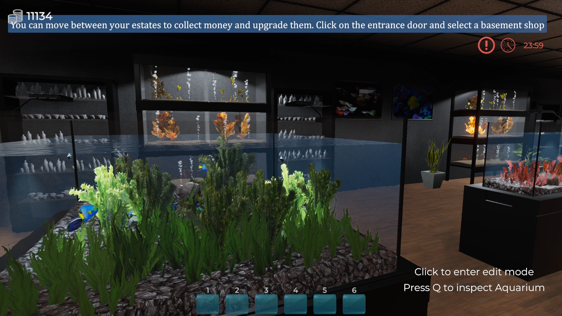 水族馆-建造水族馆,养鱼,发展你的事业/Aquarist(Build.8333920)