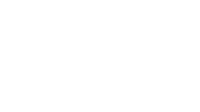 Super Laser Fury Logo