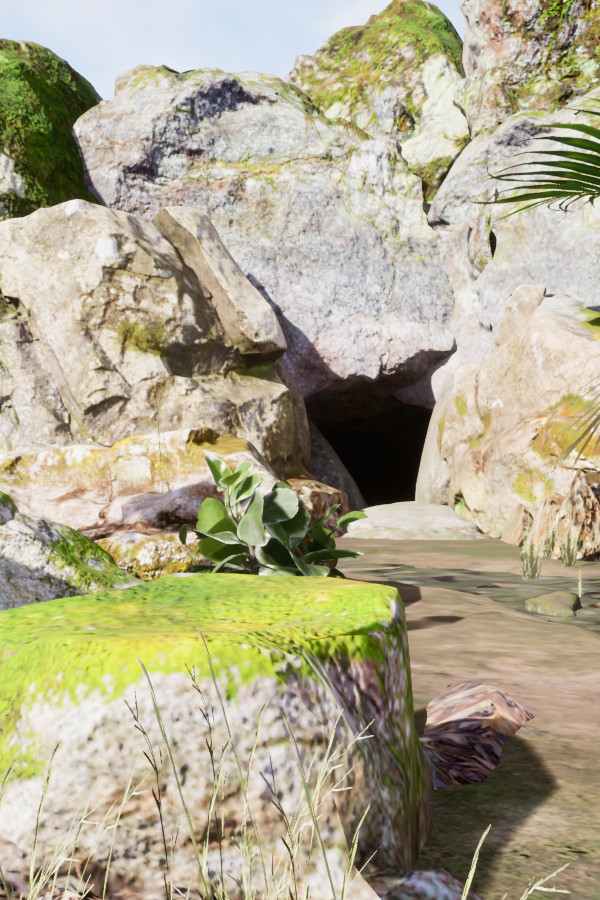 Cave Explorers