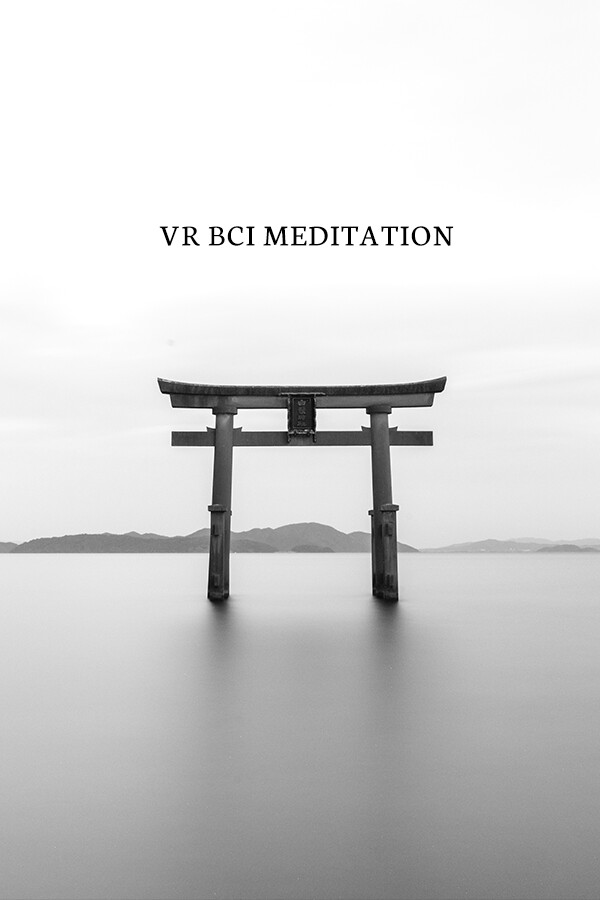 Steam portrait for VR BCI Meditation.
