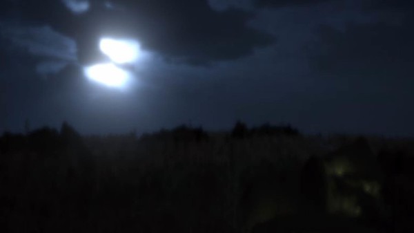 Sunflower Code game for windows Pc 1