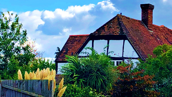 Letter Vetter game for windows Pc 1