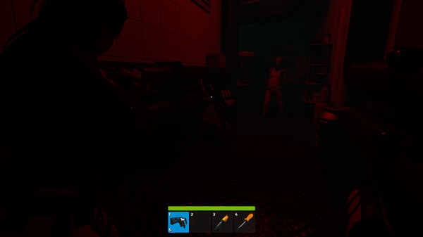 Haydee 2for windows and Linux 1