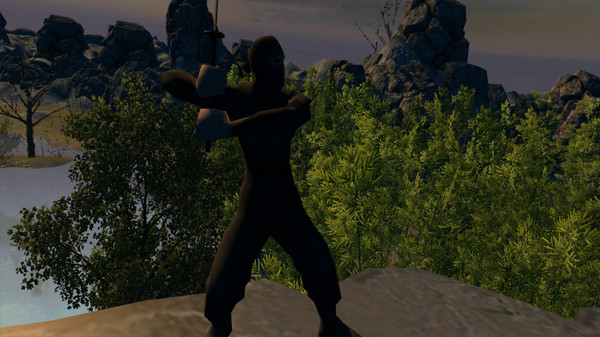 Aka Ninja VR game for Linux 1