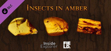Inside Explorer - Insects in Amber cover art