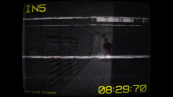 INPUT6for windows and Linux 1