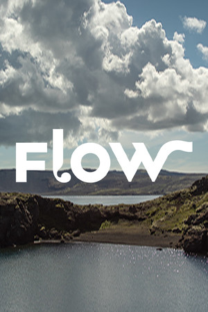 Flow