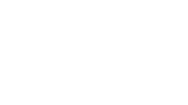 Flow Logo