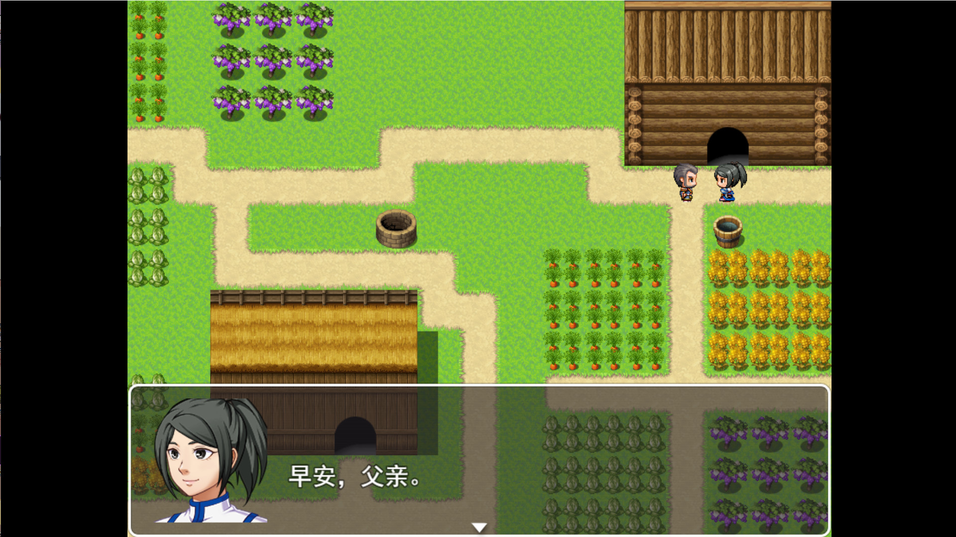 东方剑姬在西方旅行的故事-青龍劍姬傳