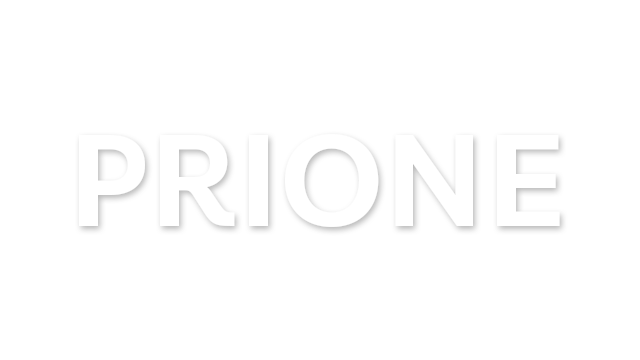 PriOne Logo