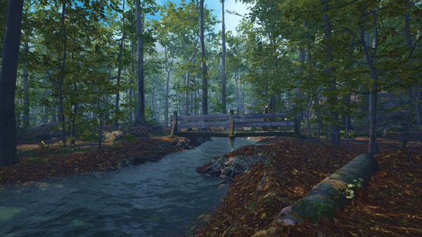 Скриншот из Big Cat Rescue