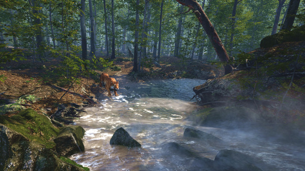 Скриншот из Big Cat Rescue