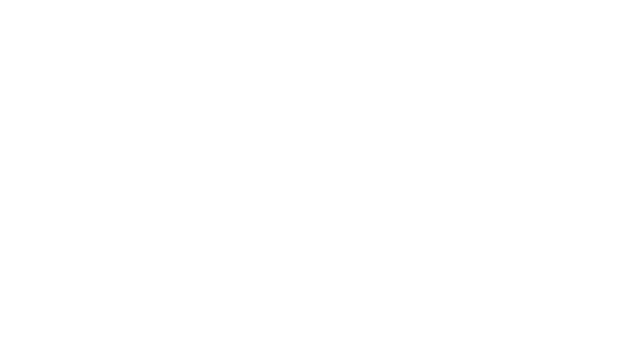 Ragdoll Dynamics Logo