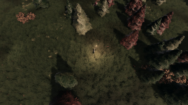 The Curefor windows and Linux 1