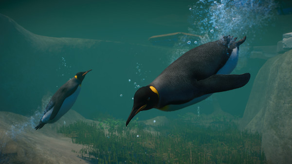 Скриншот из Planet Zoo: Aquatic Pack
