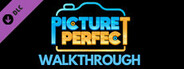 Picture Perfect - The Walkthrough