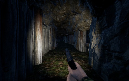 Revenger game for Linux 1