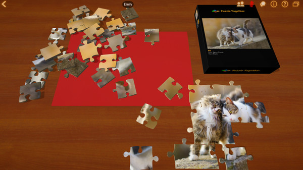 Puzzle Togetherfor windows and Linux 1