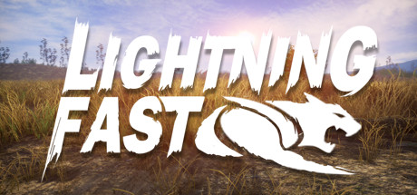 Lightning Fast cover art