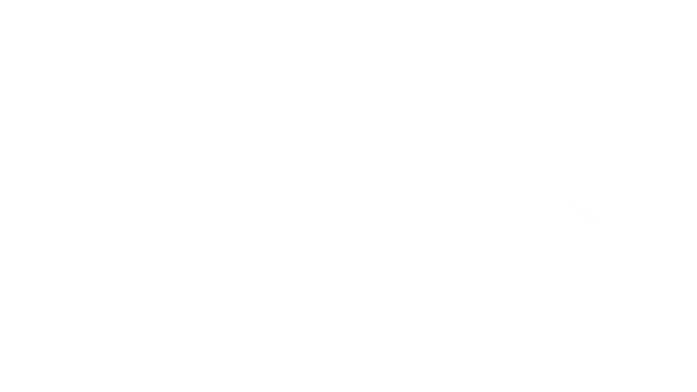 Lightning Fast Logo