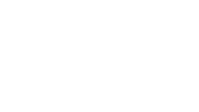 Fake Racing Logo