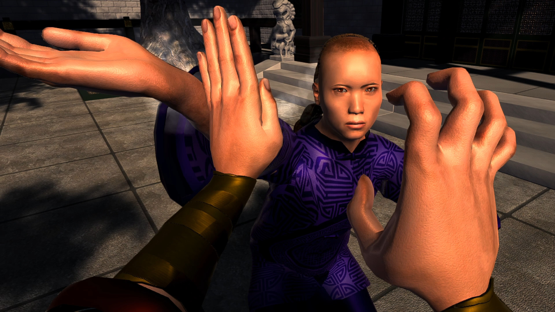 龙拳：VR功夫 (Dragon Fist: VR Kung Fu)