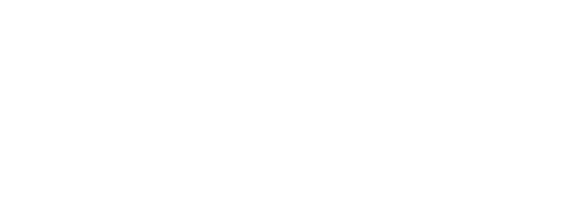 Zardy's Maze Logo