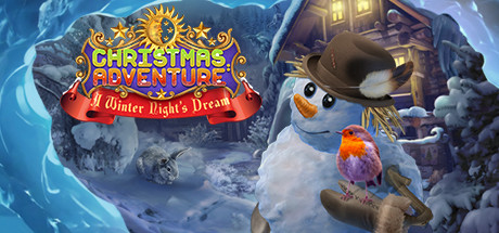 Christmas Adventures: A Winter Night's Dream cover art