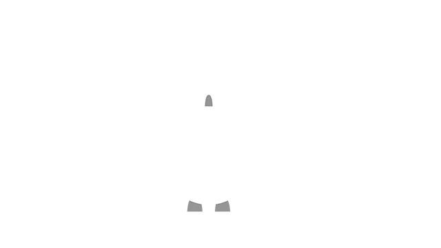 Towards The Stars Logo