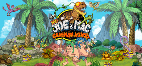 New Joe & Mac - Caveman Ninja cover art