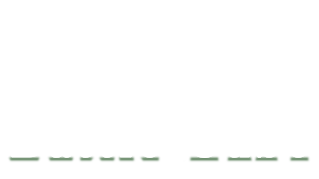 Battle Cube Logo