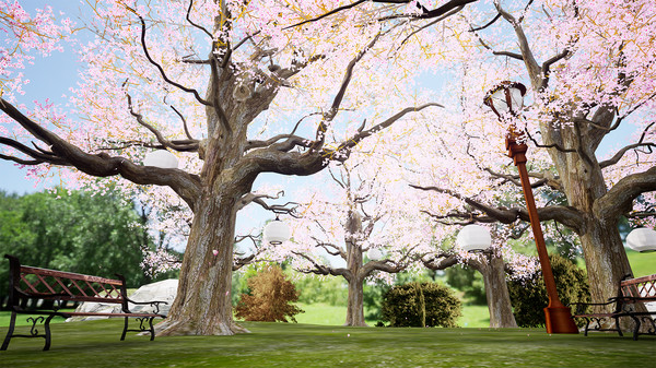 Скриншот из Bloomee