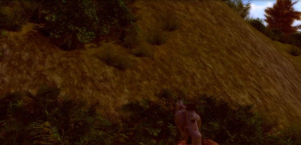 Islands game for Linux 1