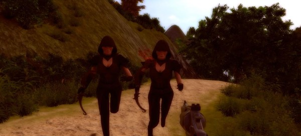 Islandsfor windows and Linux 1