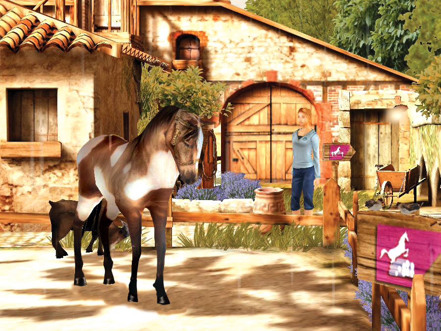 Petz horsez 2 wii