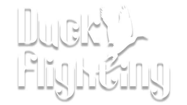 Duck Flight Simulator 2021 Logo