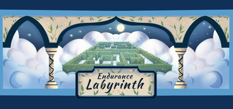 Endurance Labyrinth cover art